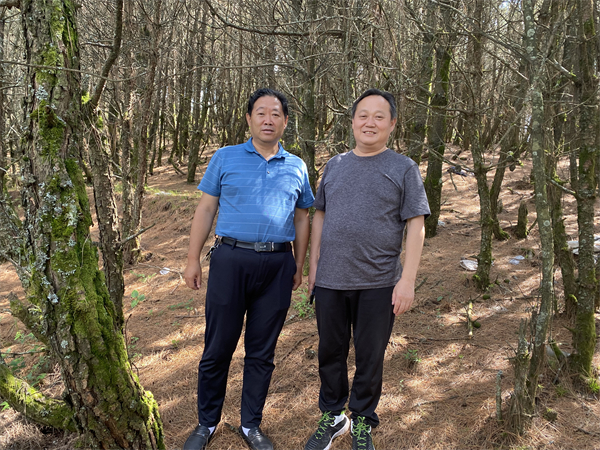 1751875439269278.jpg 6.jpg